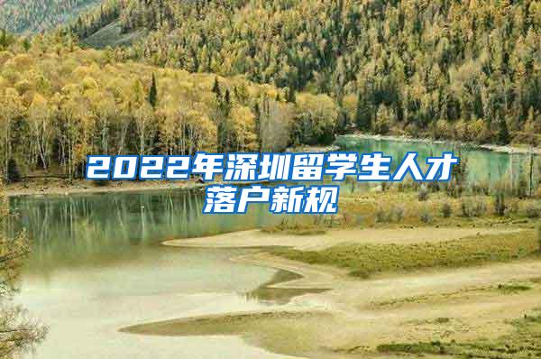 2022年深圳留学生人才落户新规