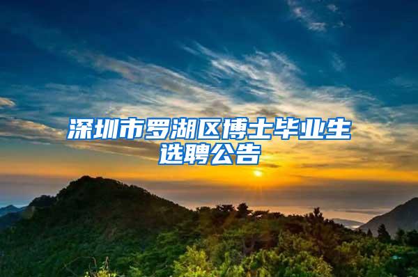 深圳市罗湖区博士毕业生选聘公告