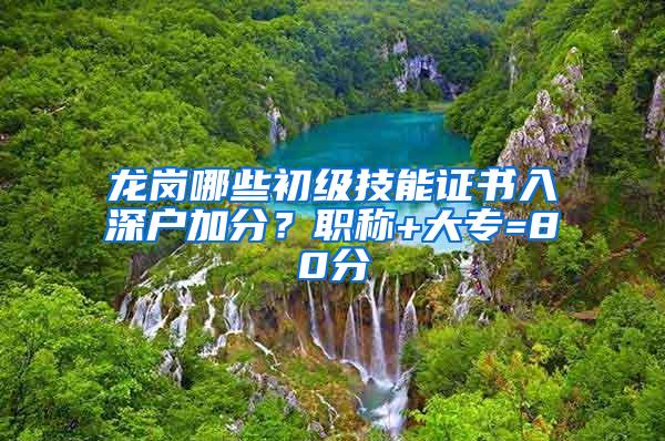 龙岗哪些初级技能证书入深户加分？职称+大专=80分