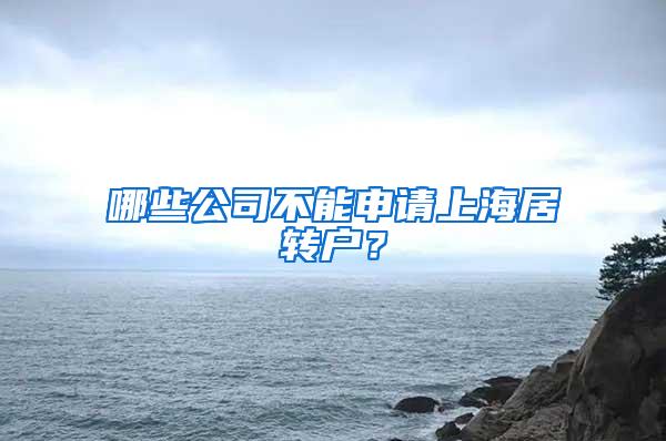 哪些公司不能申请上海居转户？