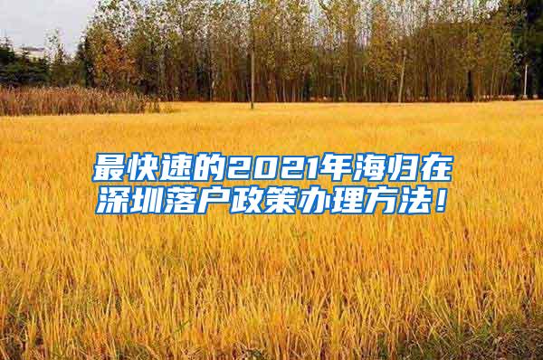 最快速的2021年海归在深圳落户政策办理方法！