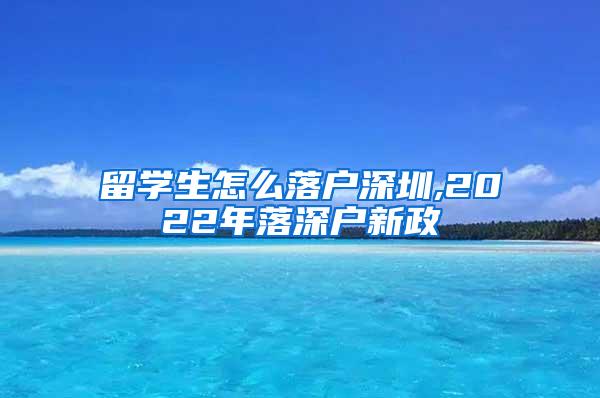 留学生怎么落户深圳,2022年落深户新政