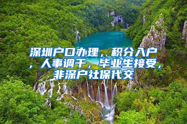 深圳户口办理，积分入户，人事调干，毕业生接受，非深户社保代交