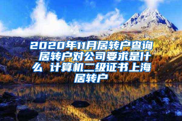 2020年11月居转户查询 居转户对公司要求是什么 计算机二级证书上海居转户