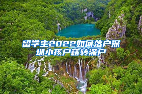 留学生2022如何落户深圳小孩户籍转深户