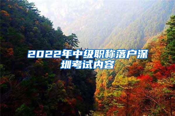 2022年中级职称落户深圳考试内容