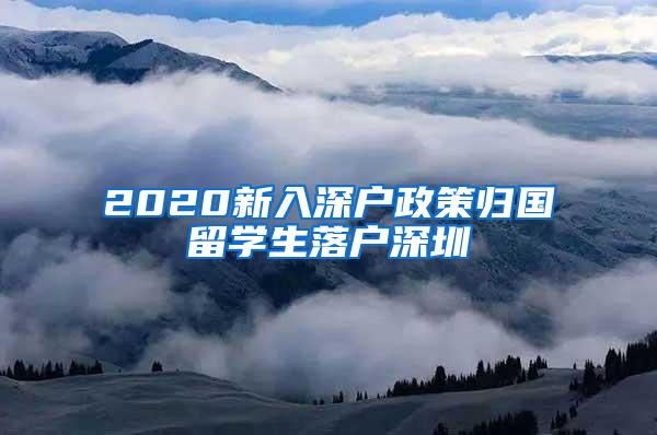 2020新入深户政策归国留学生落户深圳