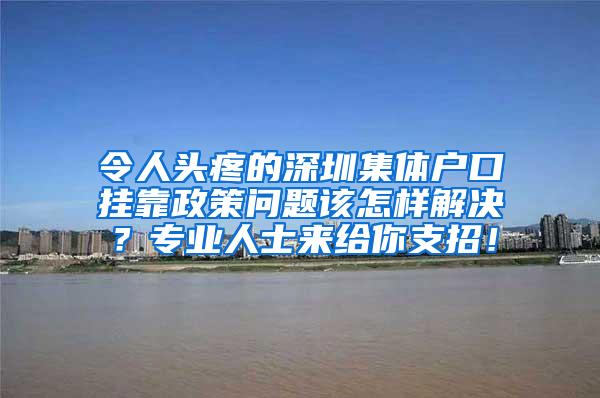 令人头疼的深圳集体户口挂靠政策问题该怎样解决？专业人士来给你支招！