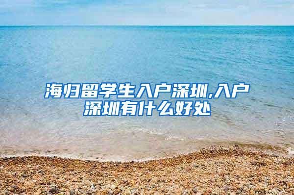 海归留学生入户深圳,入户深圳有什么好处