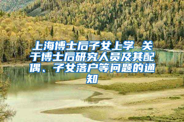 上海博士后子女上学 关于博士后研究人员及其配偶、子女落户等问题的通知