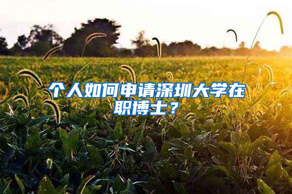 个人如何申请深圳大学在职博士？