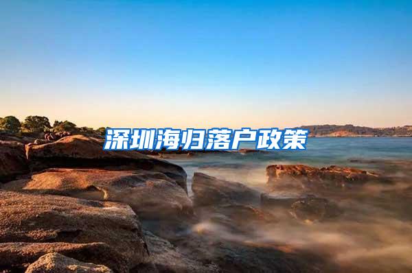 深圳海归落户政策