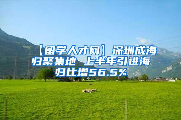 【留学人才网】深圳成海归聚集地 上半年引进海归比增56.5%