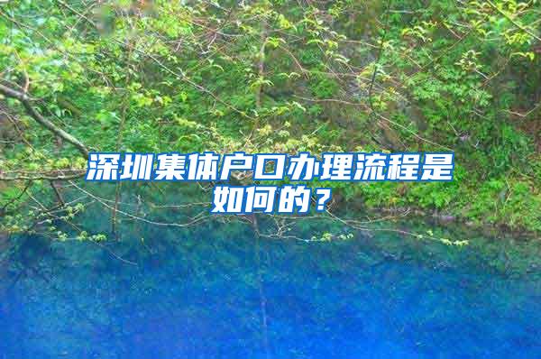 深圳集体户口办理流程是如何的？