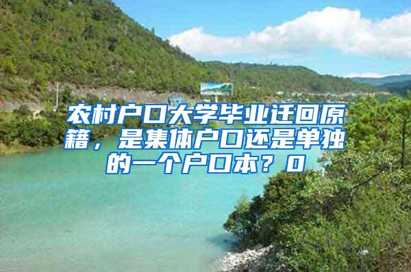 农村户口大学毕业迁回原籍，是集体户口还是单独的一个户口本？0