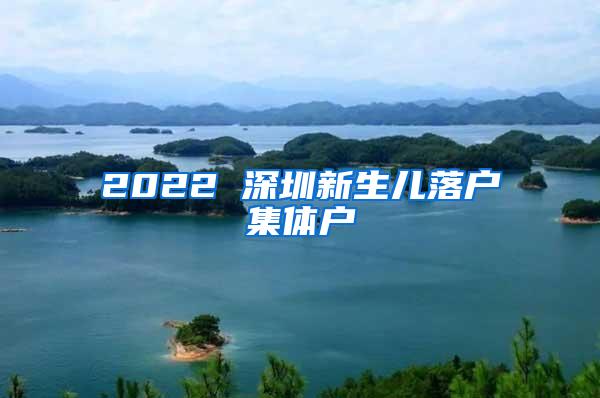 2022 深圳新生儿落户集体户