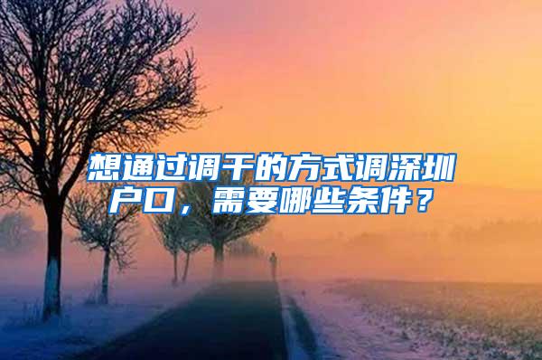 想通过调干的方式调深圳户口，需要哪些条件？