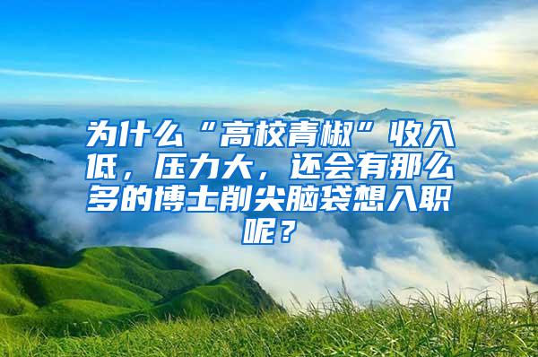 为什么“高校青椒”收入低，压力大，还会有那么多的博士削尖脑袋想入职呢？