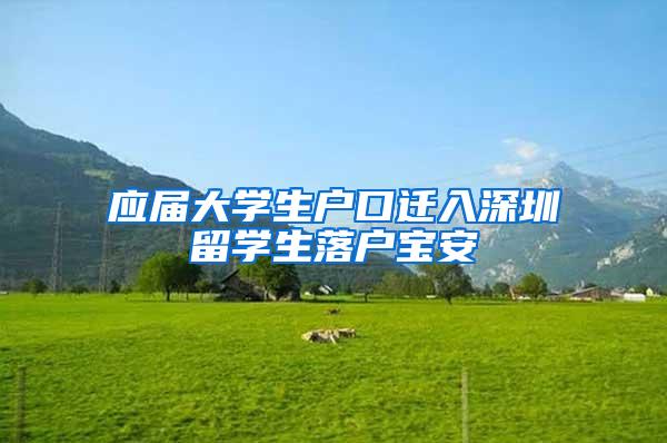 应届大学生户口迁入深圳留学生落户宝安