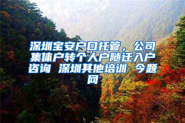 深圳宝安户口托管，公司集体户转个人户随迁入户咨询 深圳其他培训 今题网