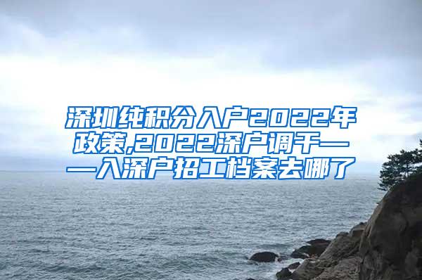 深圳纯积分入户2022年政策,2022深户调干——入深户招工档案去哪了