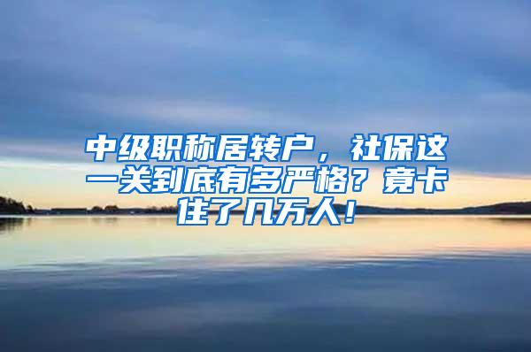 中级职称居转户，社保这一关到底有多严格？竟卡住了几万人！