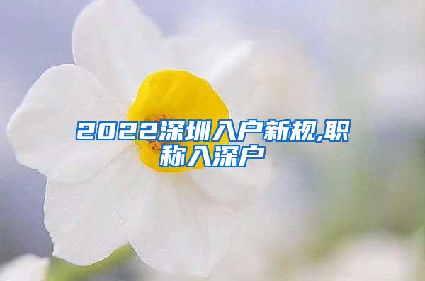 2022深圳入户新规,职称入深户