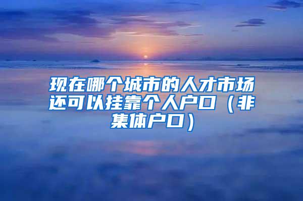 现在哪个城市的人才市场还可以挂靠个人户口（非集体户口）