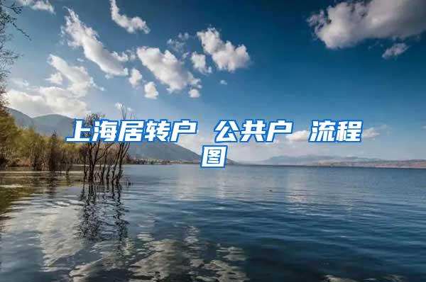 上海居转户 公共户 流程图