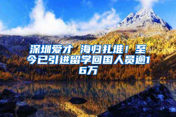 深圳爱才 海归扎堆！至今已引进留学回国人员逾16万