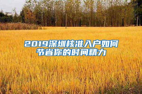 2019深圳核准入户如何节省你的时间精力