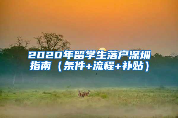 2020年留学生落户深圳指南（条件+流程+补贴）