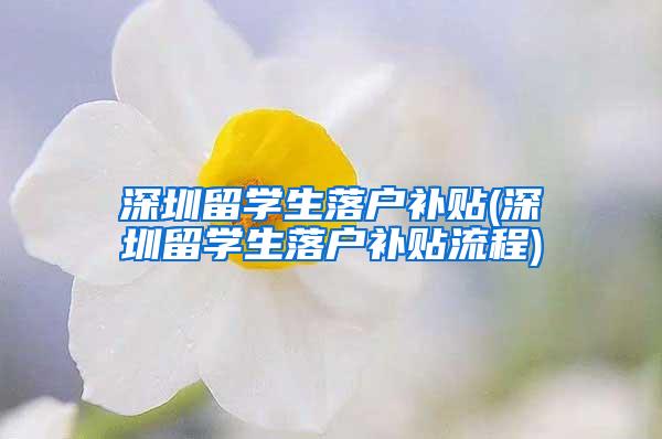 深圳留学生落户补贴(深圳留学生落户补贴流程)