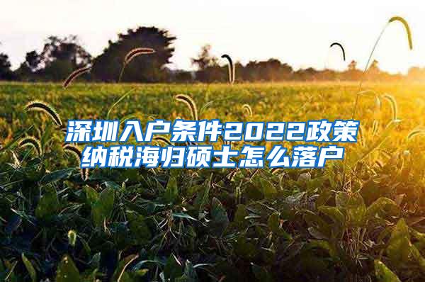 深圳入户条件2022政策纳税海归硕士怎么落户