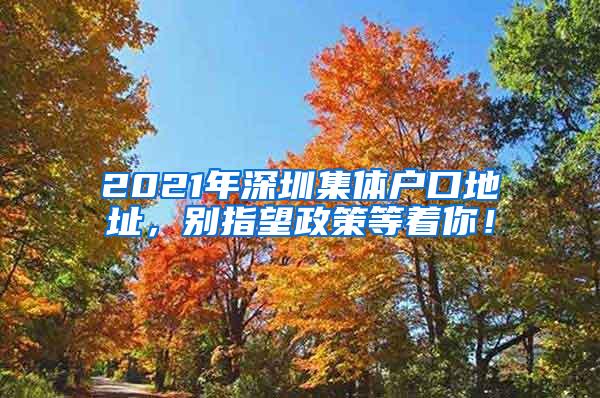 2021年深圳集体户口地址，别指望政策等着你！