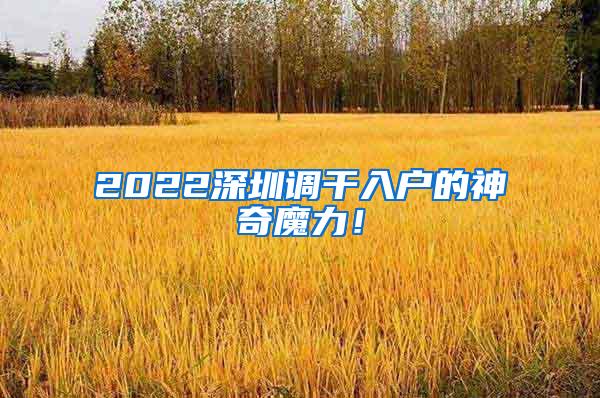 2022深圳调干入户的神奇魔力！