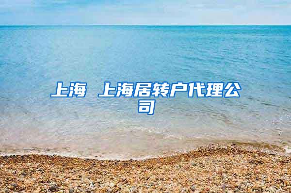 上海 上海居转户代理公司