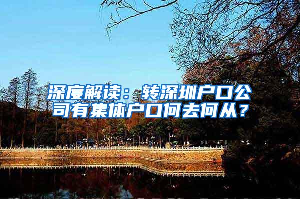 深度解读：转深圳户口公司有集体户口何去何从？