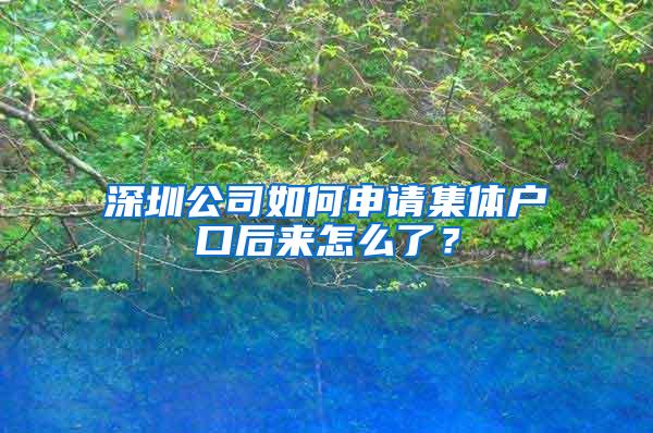 深圳公司如何申请集体户口后来怎么了？