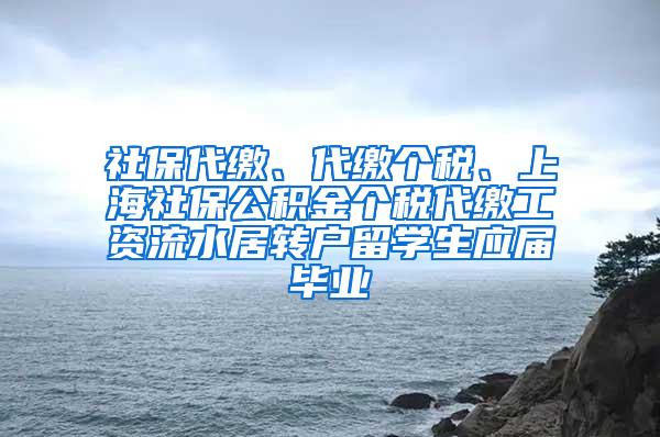 社保代缴、代缴个税、上海社保公积金个税代缴工资流水居转户留学生应届毕业