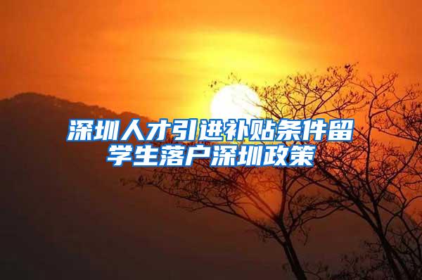 深圳人才引进补贴条件留学生落户深圳政策