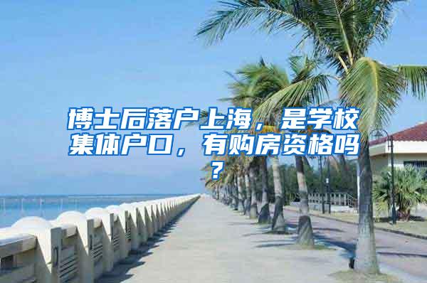 博士后落户上海，是学校集体户口，有购房资格吗？