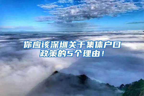 你应该深圳关于集体户口政策的5个理由！