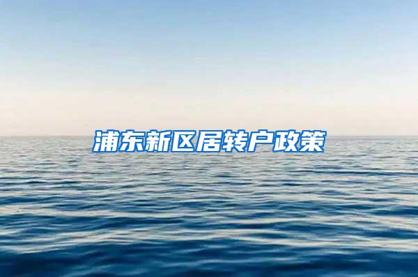 浦东新区居转户政策