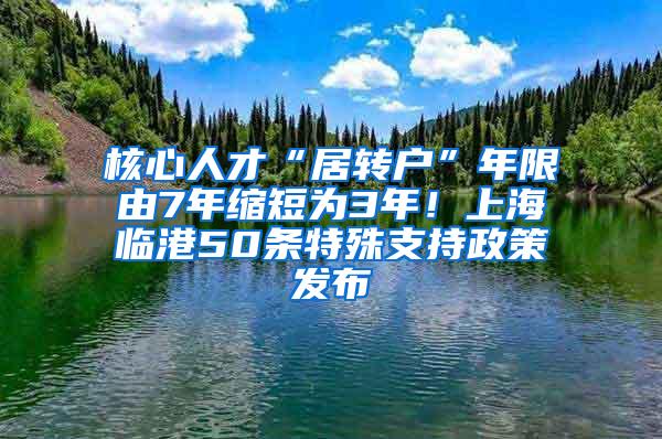 核心人才“居转户”年限由7年缩短为3年！上海临港50条特殊支持政策发布