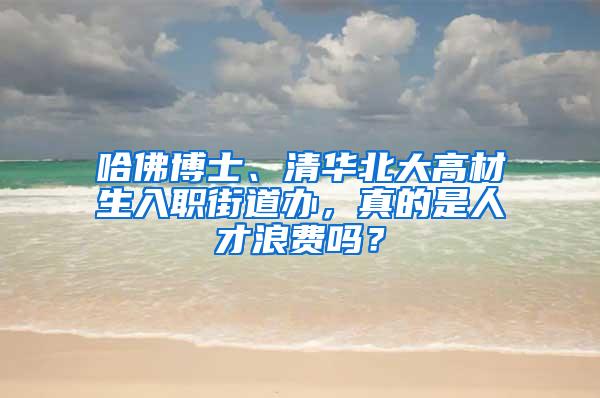 哈佛博士、清华北大高材生入职街道办，真的是人才浪费吗？