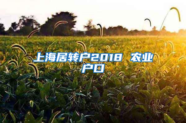 上海居转户2018 农业户口