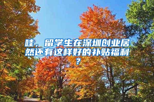 哇，留学生在深圳创业居然还有这样好的补贴福利？