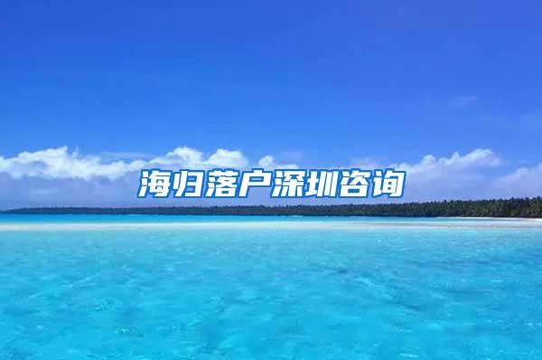 海归落户深圳咨询