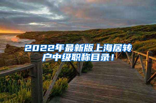 2022年最新版上海居转户中级职称目录！